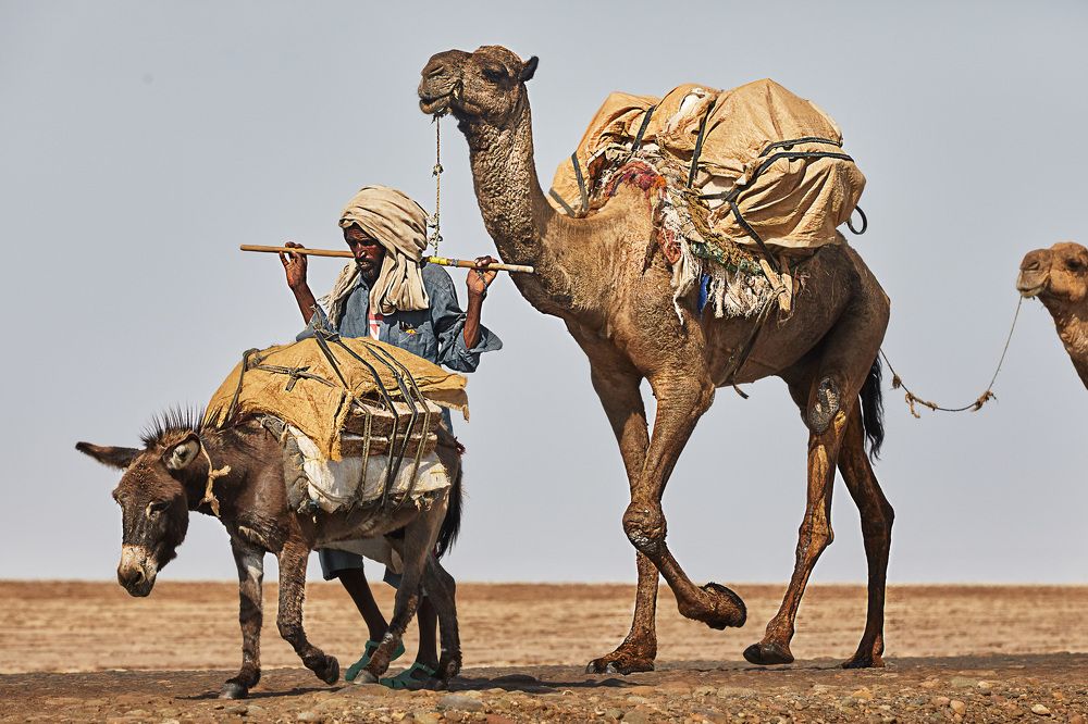 Ходжа Нассредин