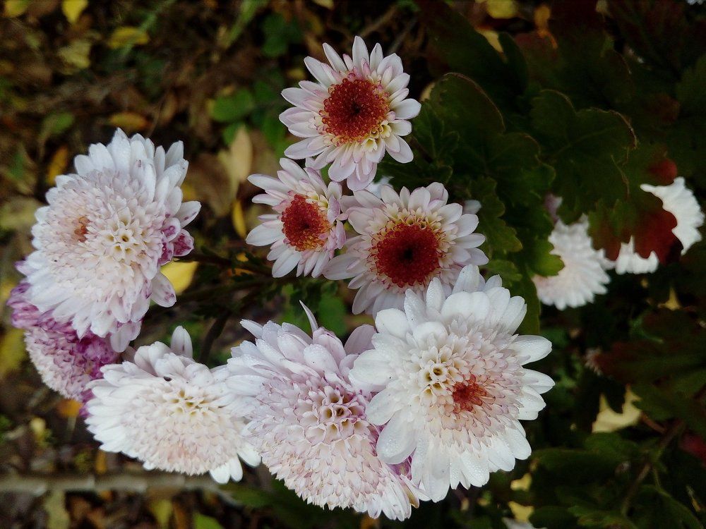 Photograph by Ирина Марченко