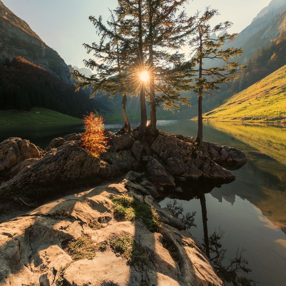 На закате у озера