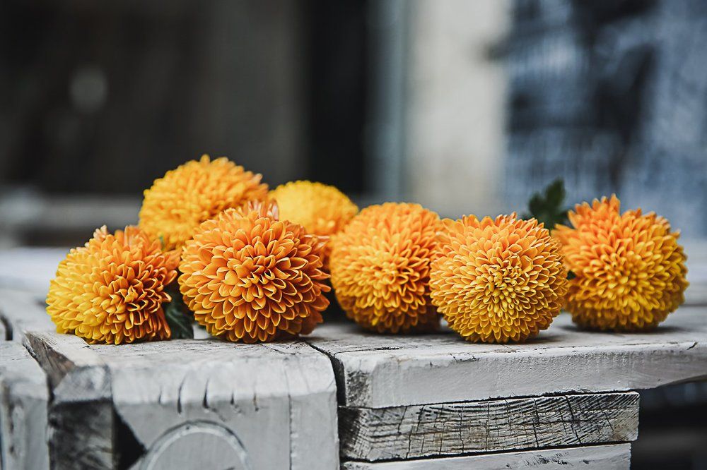 Оранжевое настроение