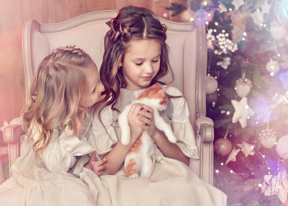 Утро нового года