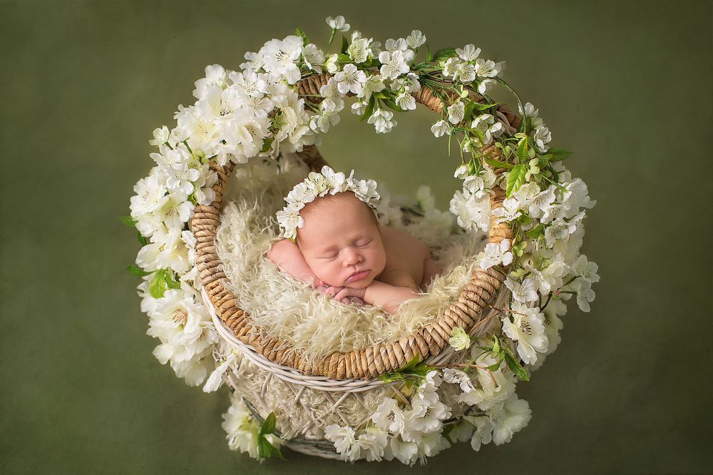 Photograph by Анастасия Быдзина