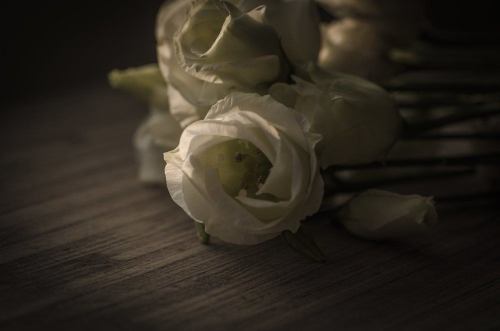 Фотография автора Константин Яковлев