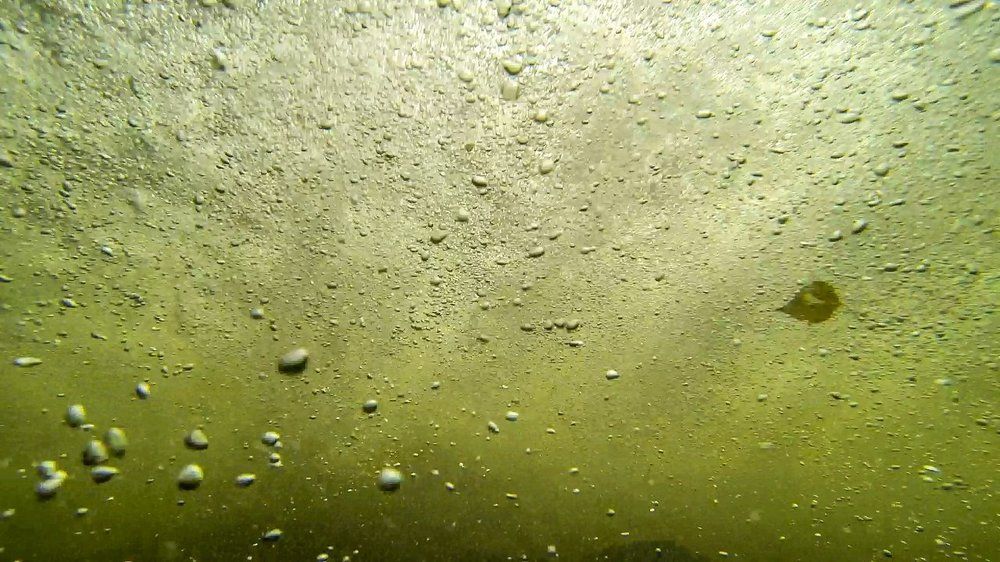 Лист под Водопадом Корбу