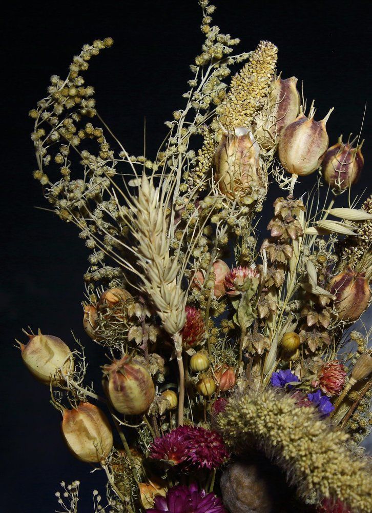 Photograph by Svitlana Zaritski