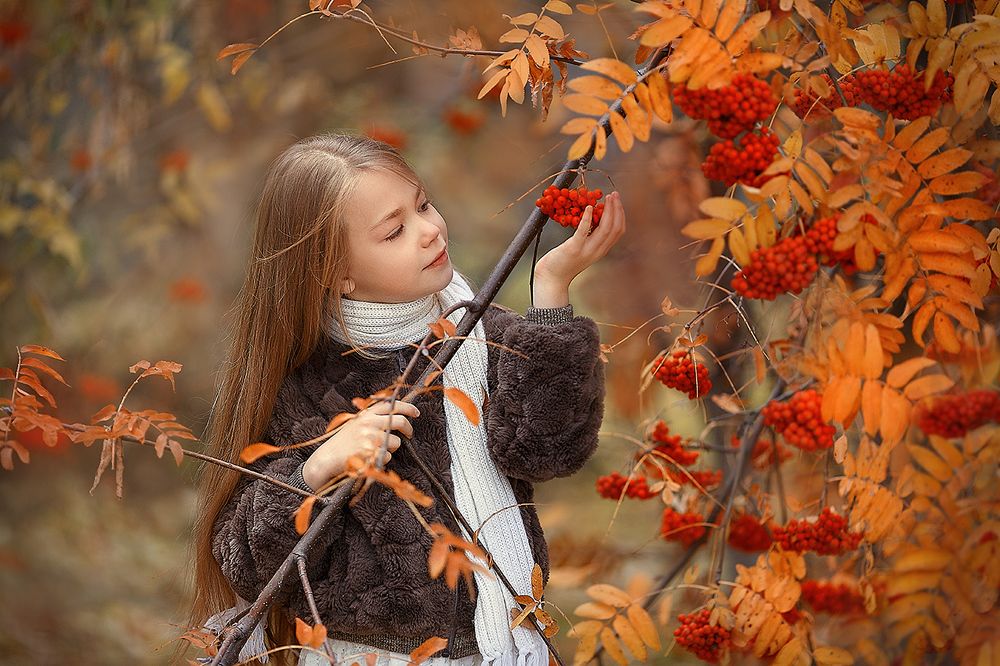 Краски осени