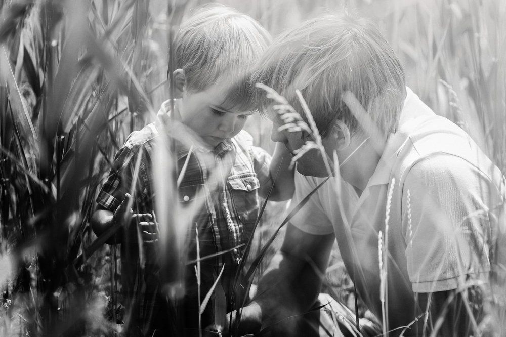 В лучах солнца