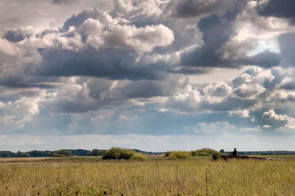 Дивлюсь я на небо