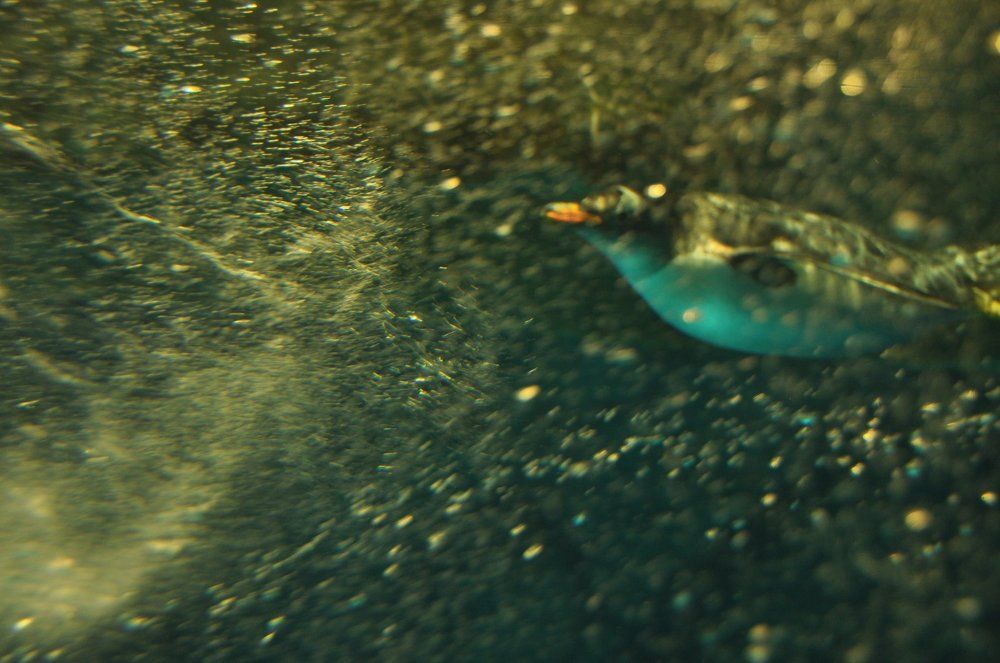 Ниже уровня моря