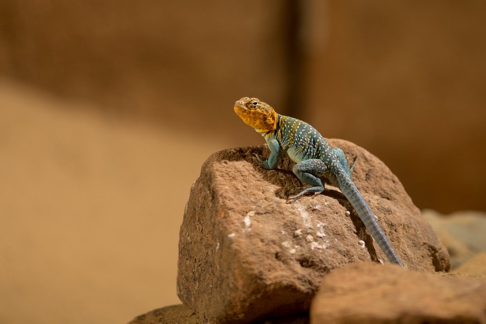 Photograph by Ахметзянова Лилия