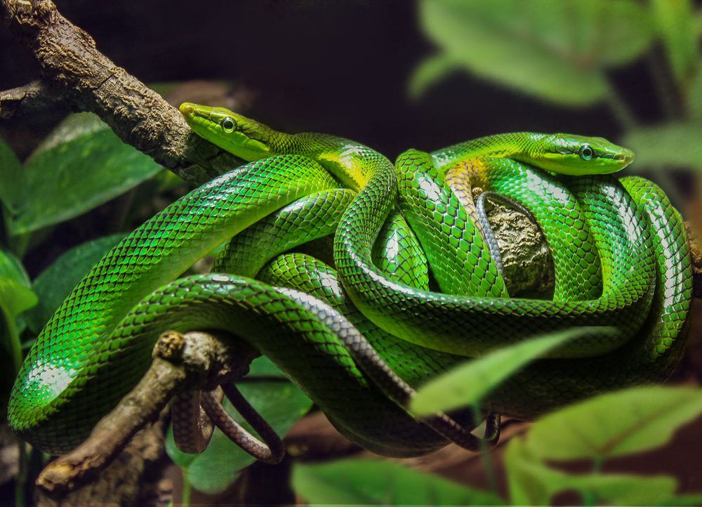 Photograph by Svetlana S.