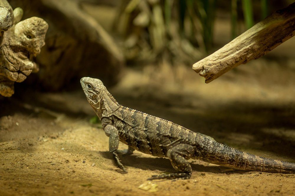 Photograph by Ахметзянова Лилия