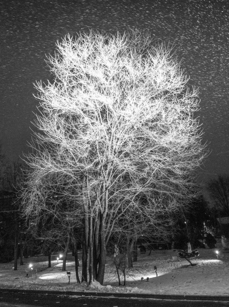 Ночной снегопад в Парке Культуры и отдыха.
