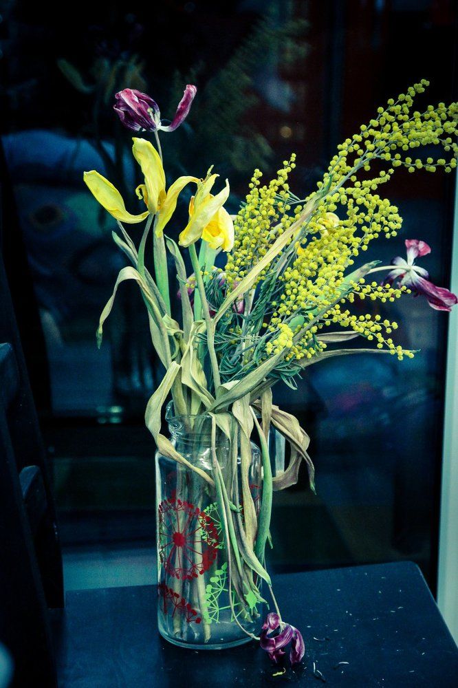 Сухие цветы