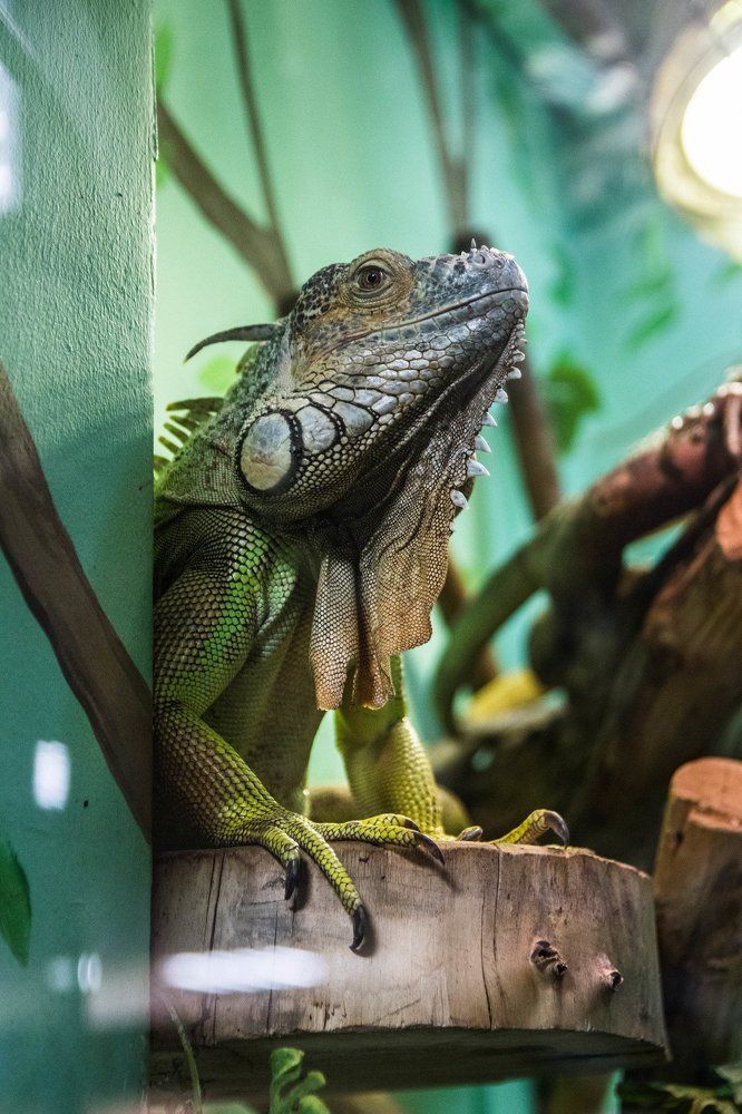 Photograph by Наталья Рубцова