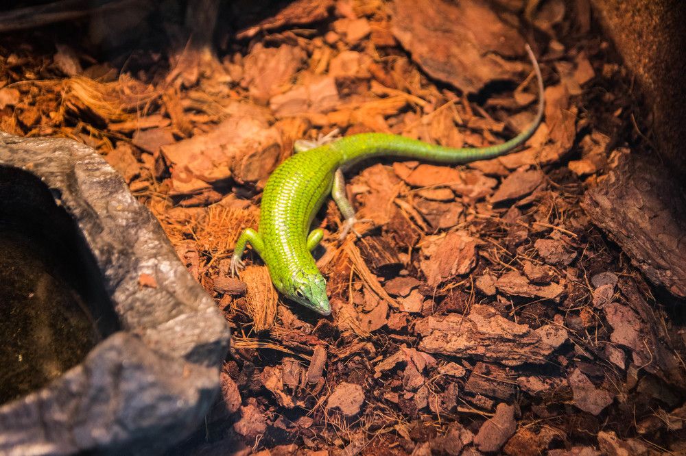 Photograph by Наталья Рубцова