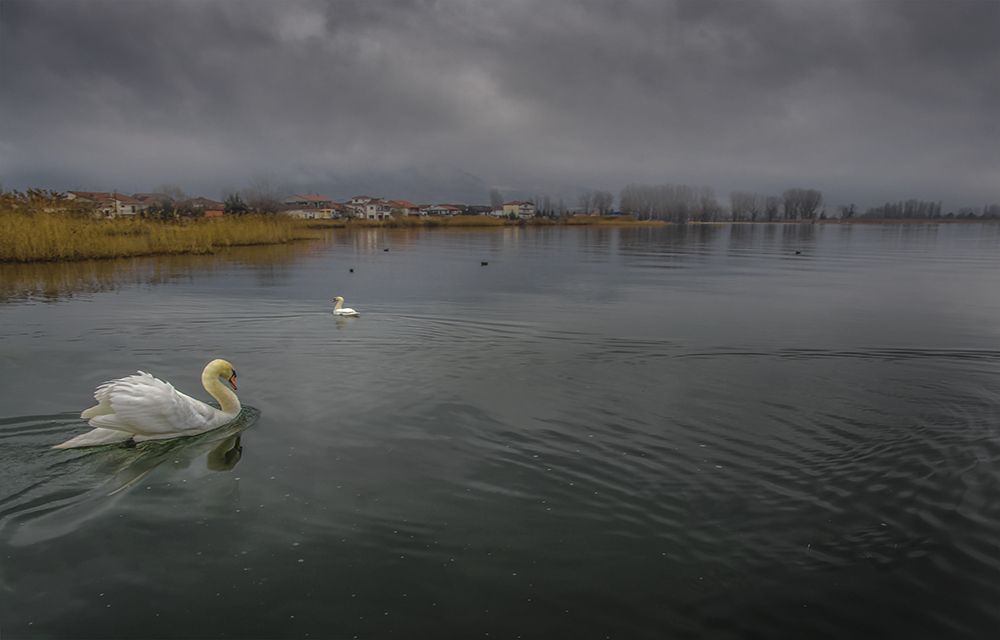 kastoria lake