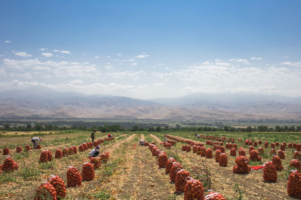 Ангрен, Узбекистан