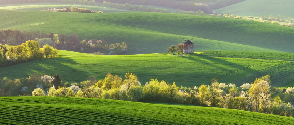 Старая мельница