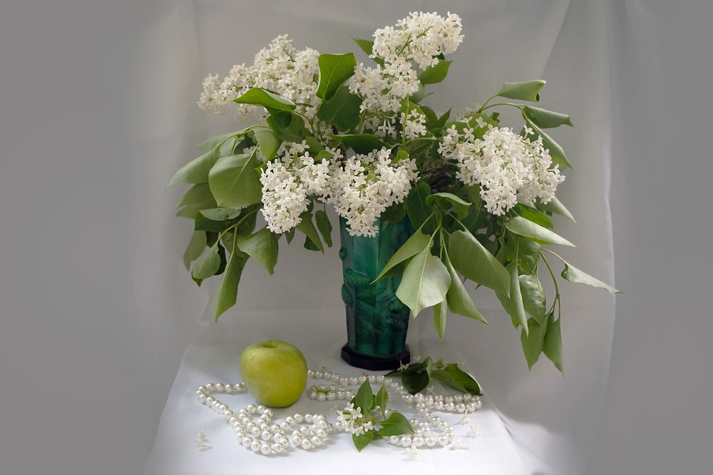 Сиреневый этюд