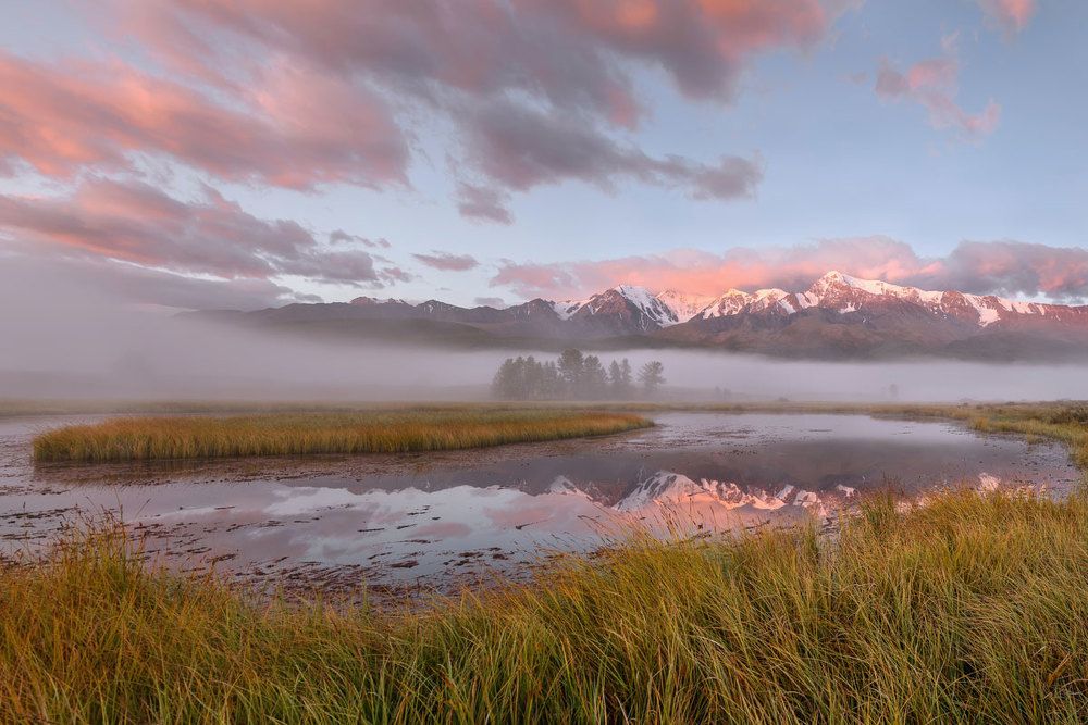Нежность рассвета