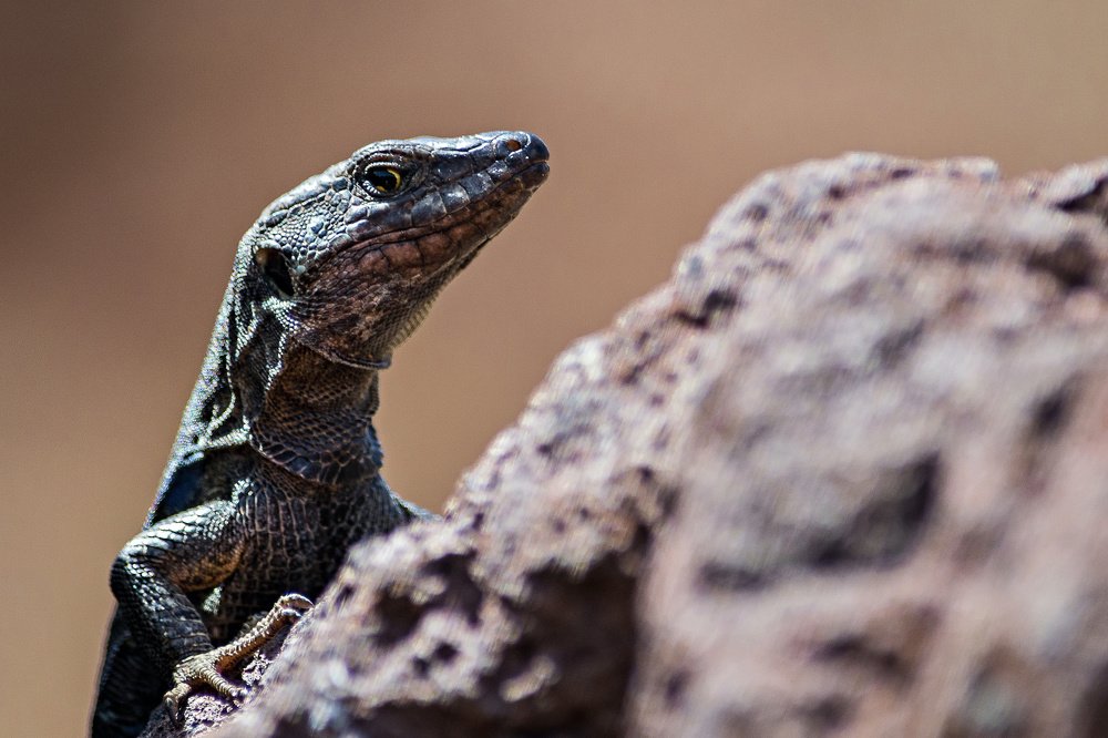 Photograph by Сергей Басов