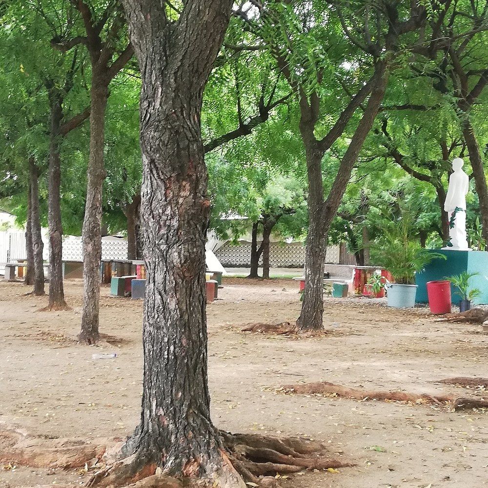 Parque