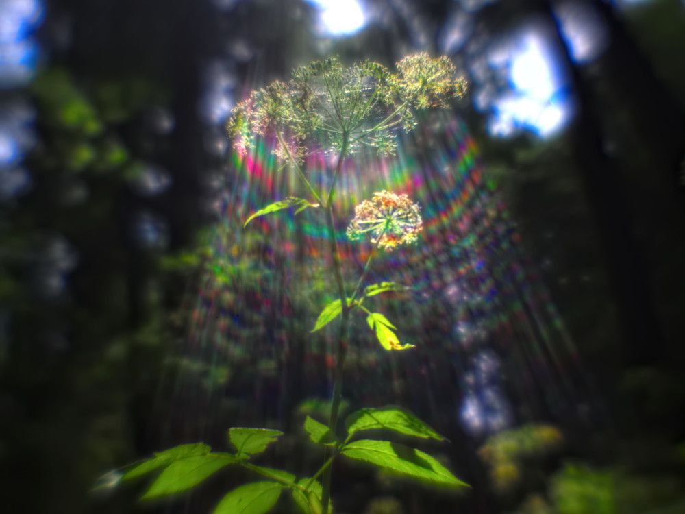 Солнечные ванны