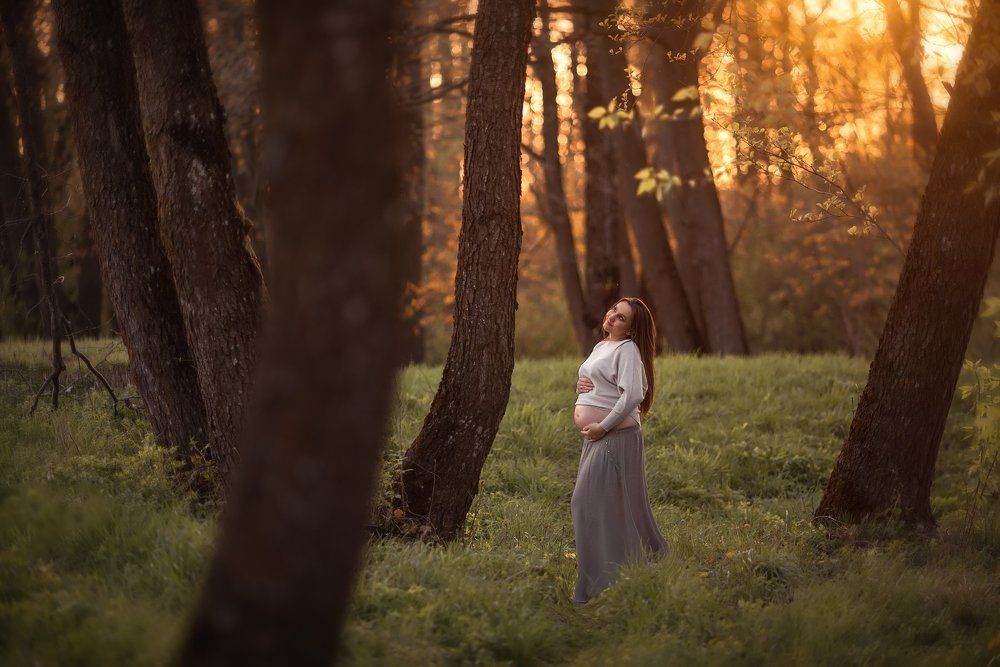 в лучах заката