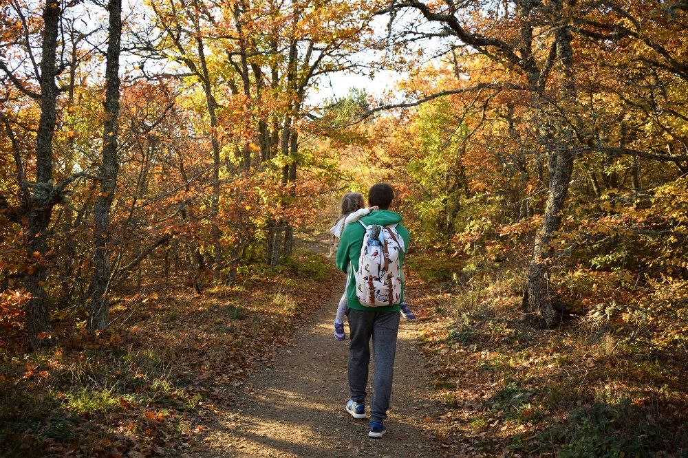 Папа целый мир