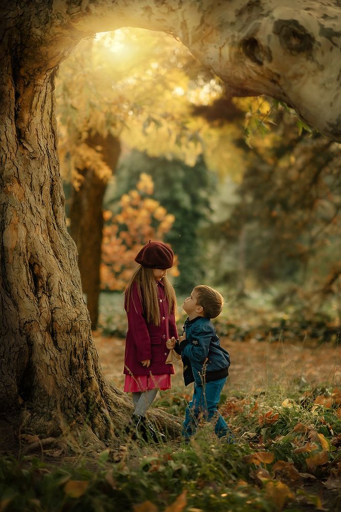 голова дракона