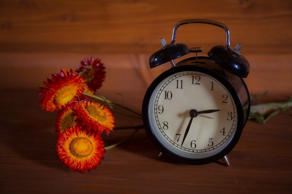 autumn flowers and clock