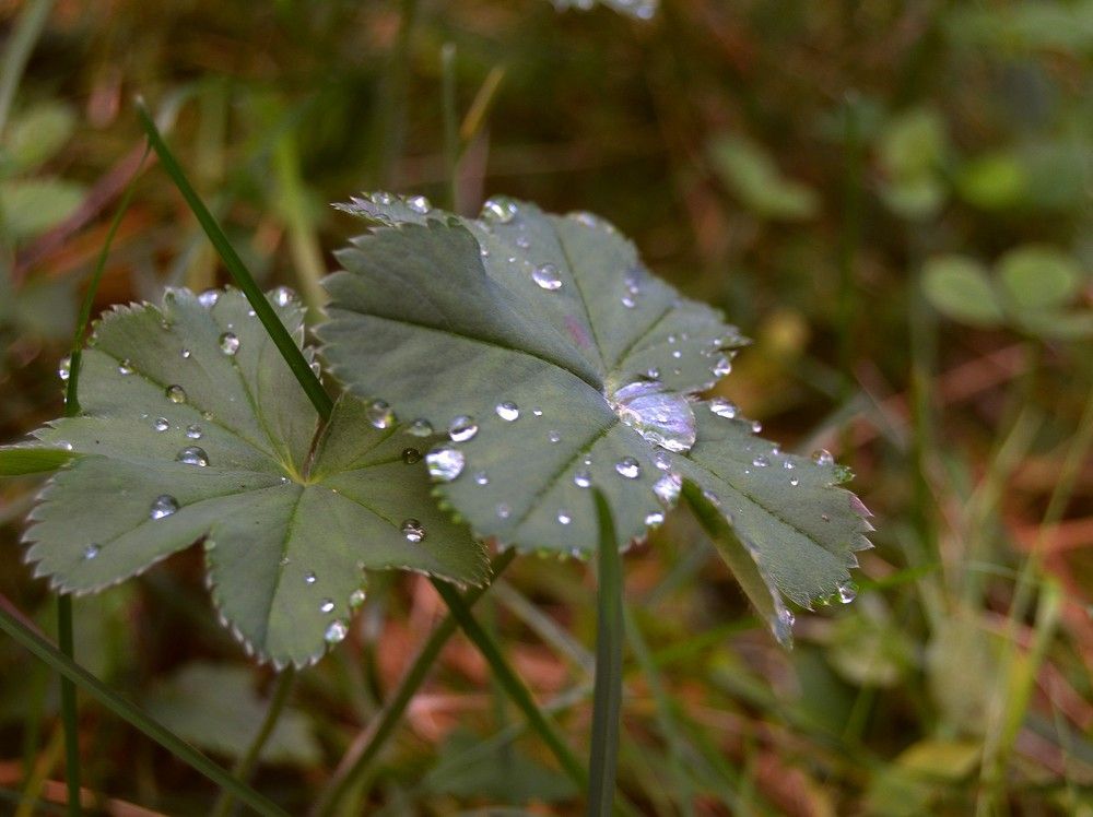 Photograph by Анна Панеева