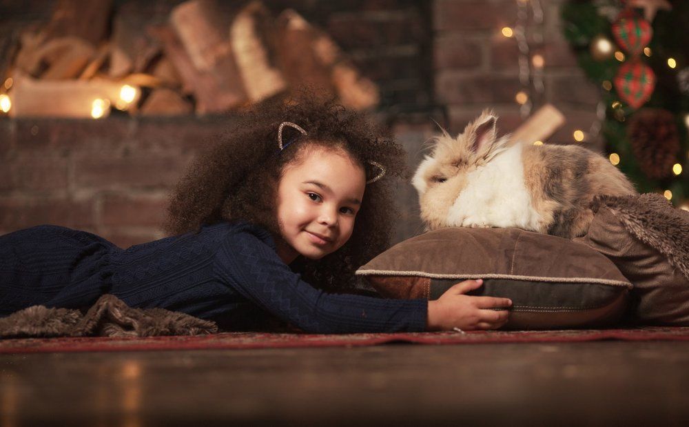 Котёночек и Новый Год