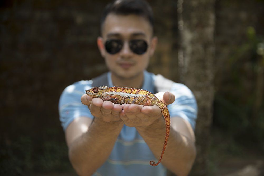 ЛУЧШИЙ ДРУГ