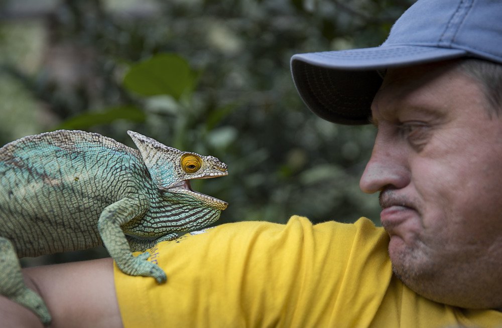 Повздорили