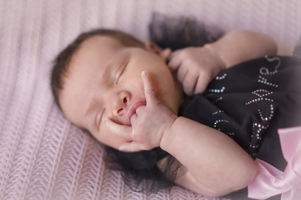 Соловей-разбойница