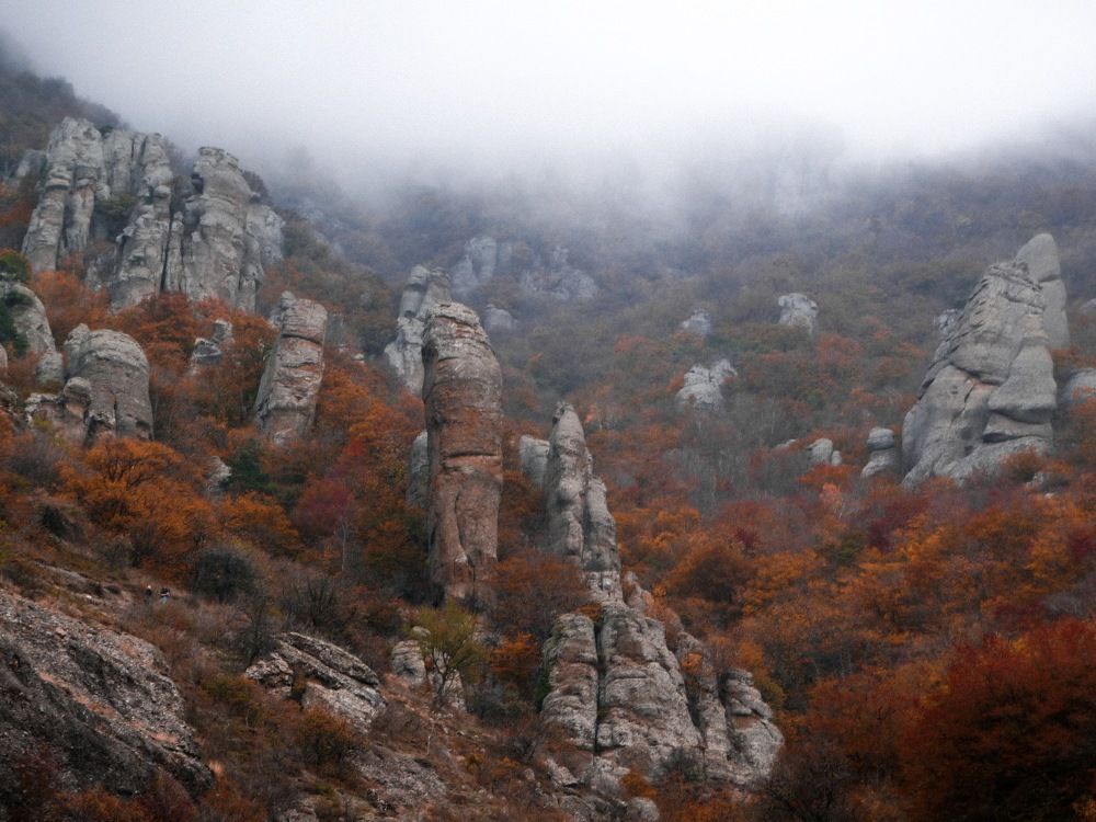 Долина Привидений в тумане