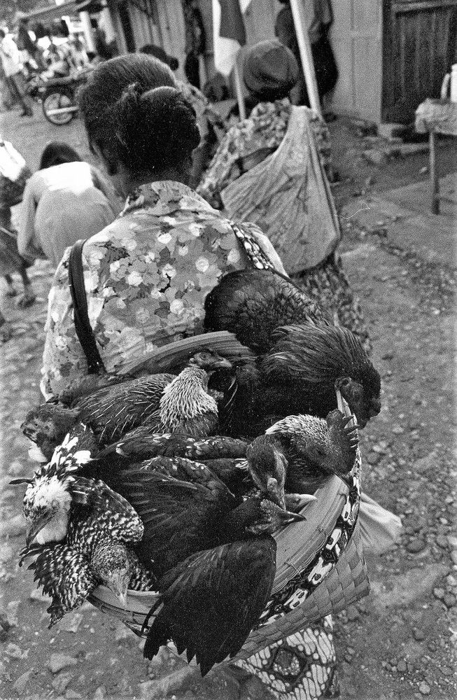 Chicken Seller