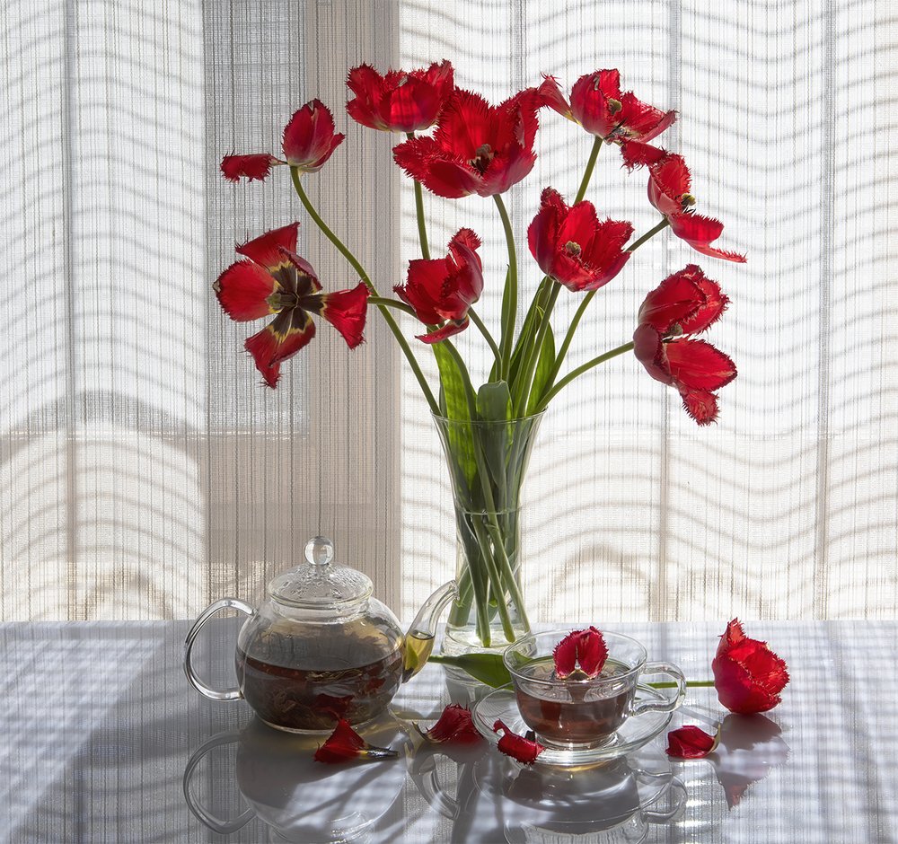 Остывший чай