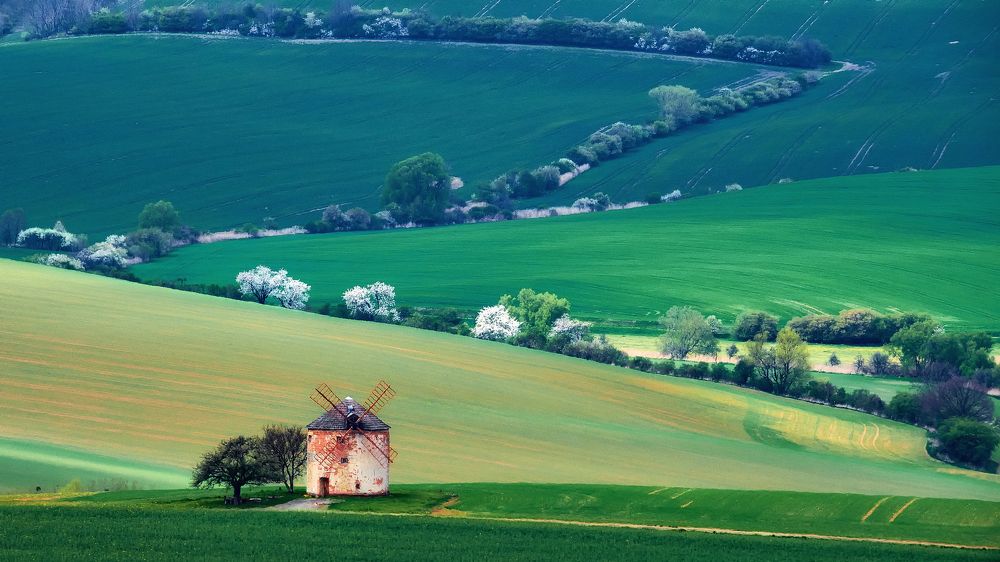 Сельская весна