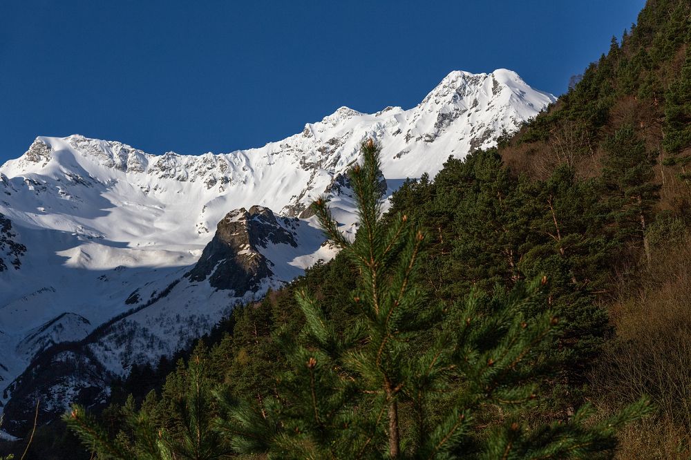 Свежий снег