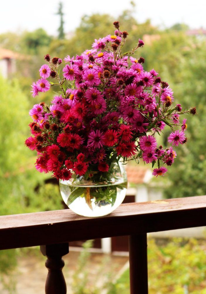 Photograph by Светлана