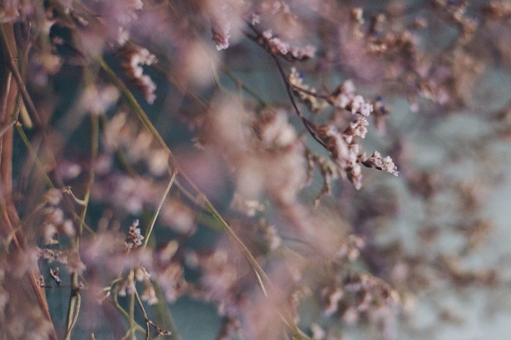 Photograph by Александра Данилюк