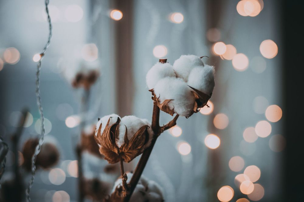 Photograph by Александра Данилюк