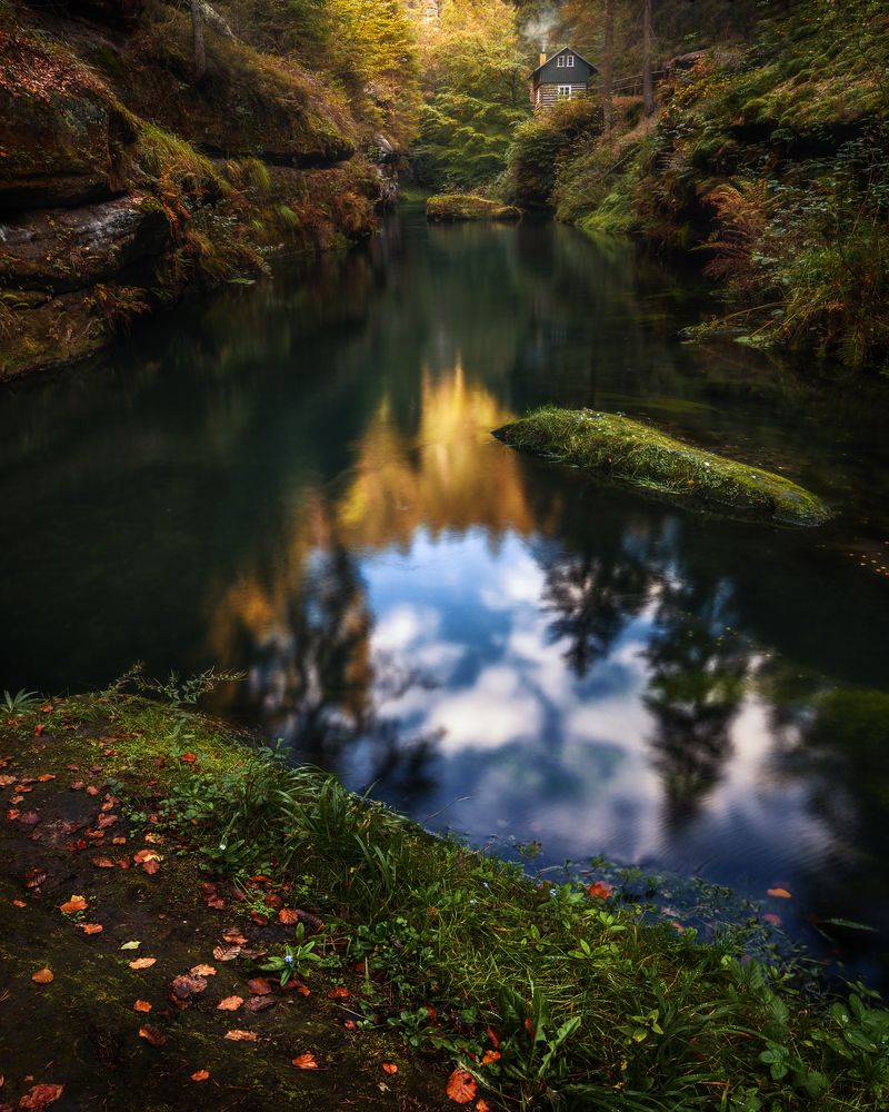 Волшебный дом