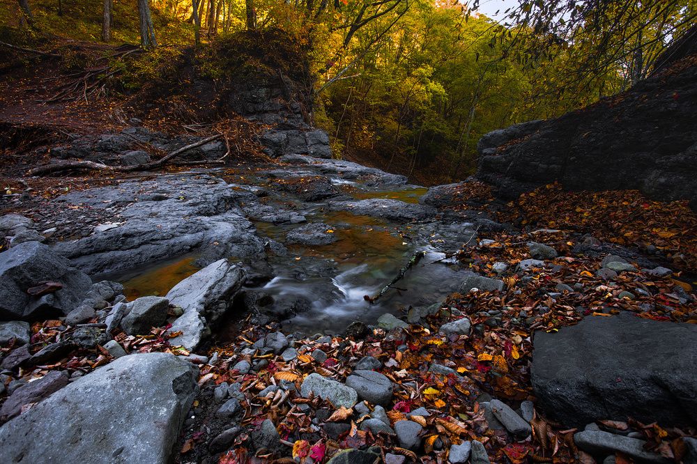 Photograph by Дмитрий Шовтюк