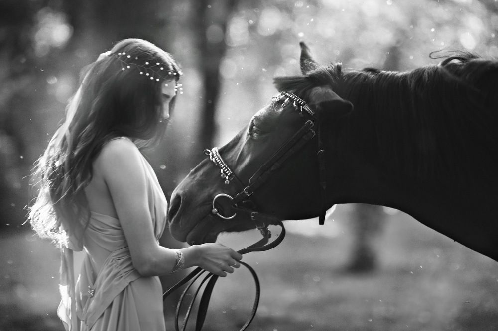 meeting in the forest