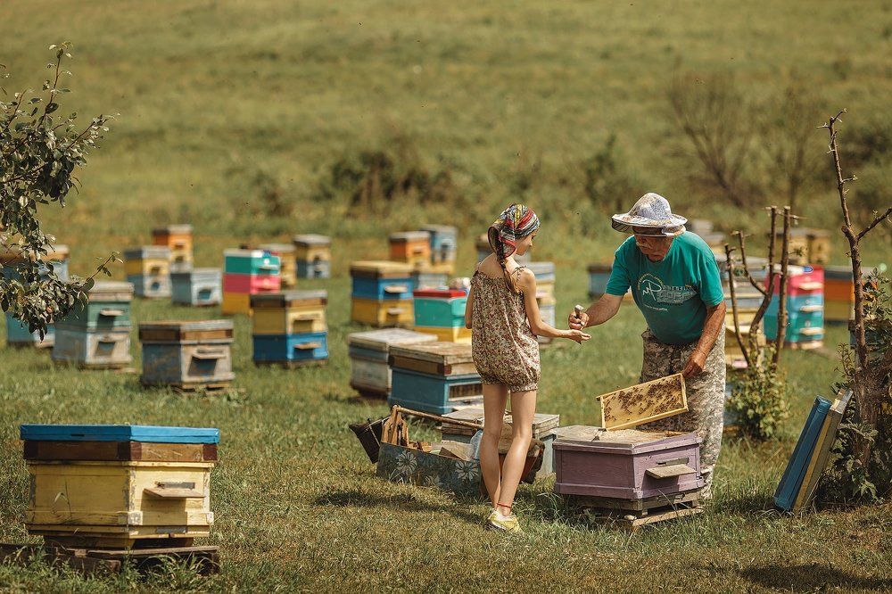 Пчеловод и внучка