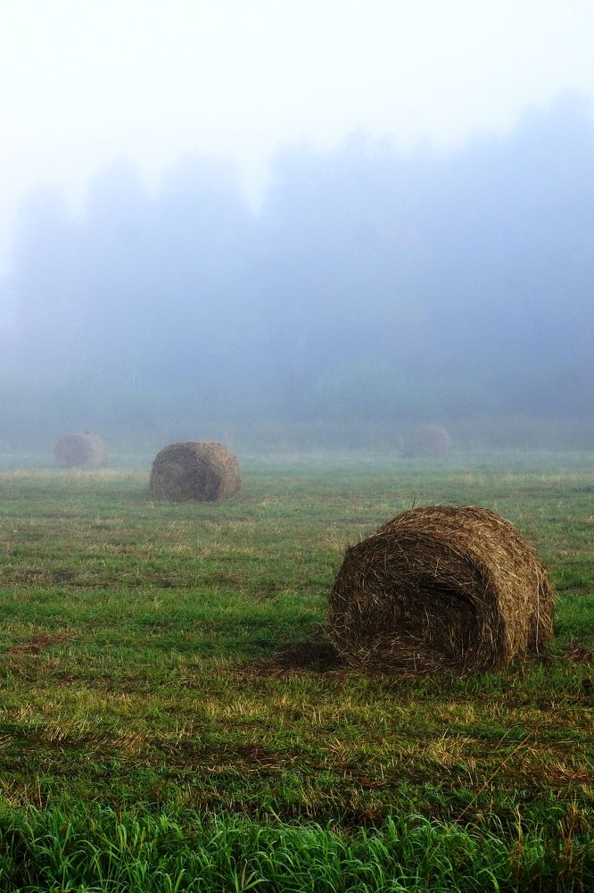 Утро в сентябре...
